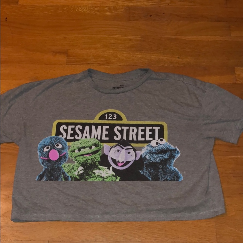 Grey Sesame Street crop top